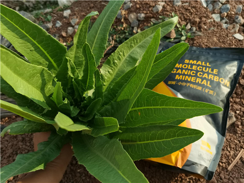 礦源黃腐酸鉀，拉姆拉，翠姆