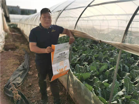 大量元素水溶肥，拉姆拉，翠姆