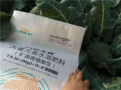 大量元素水溶肥，拉姆拉，翠姆