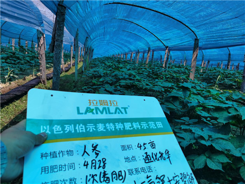 水溶肥，拉姆拉，翠姆