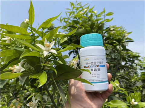 硼肥，拉姆拉，翠姆