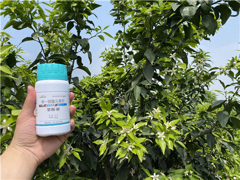 硼肥，拉姆拉，翠姆