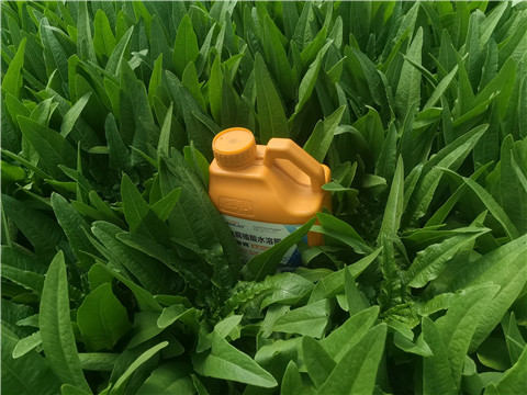 水溶肥，翠姆，拉姆拉