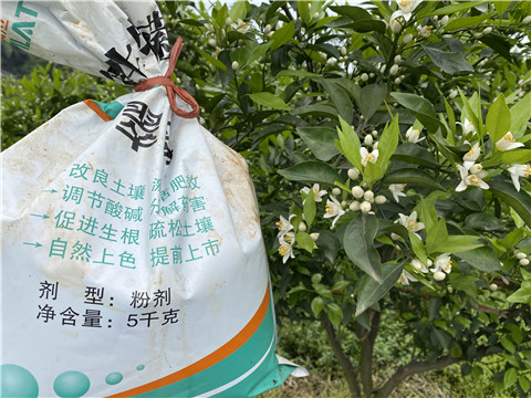 水溶肥，翠姆，拉姆拉