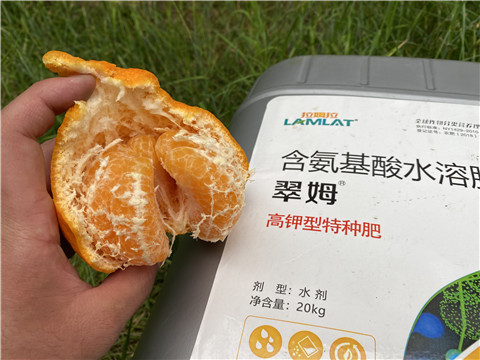 水溶肥，翠姆，拉姆拉