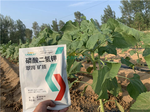 水溶肥，翠姆，拉姆拉