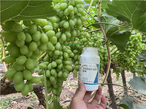 水溶肥，翠姆，拉姆拉