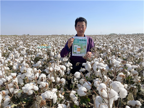 水溶肥，翠姆，拉姆拉