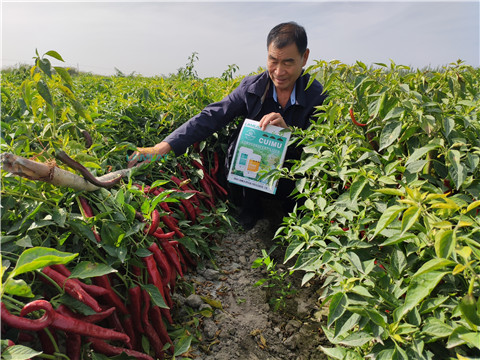 水溶肥，翠姆，拉姆拉