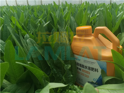 水溶肥，翠姆，拉姆拉