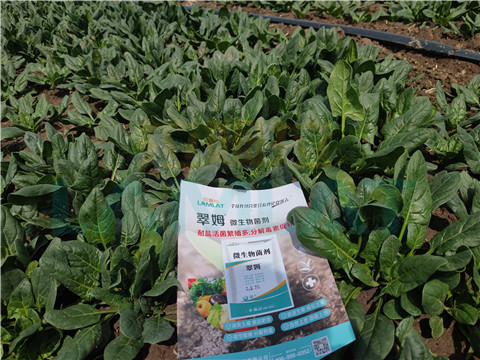 水溶肥，翠姆，拉姆拉