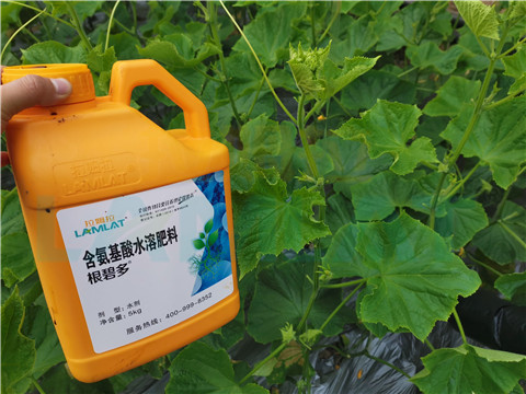 水溶肥，拉姆拉，翠姆