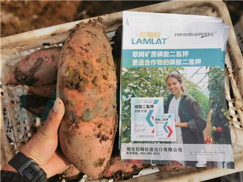 水溶肥，拉姆拉，翠姆