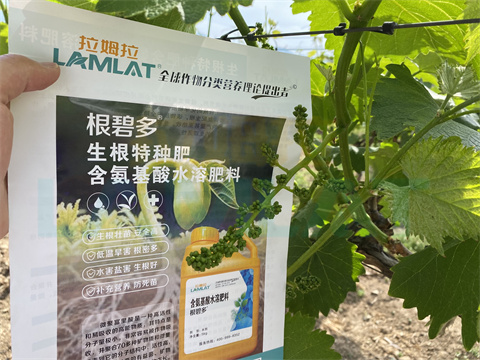 水溶肥，拉姆拉，翠姆