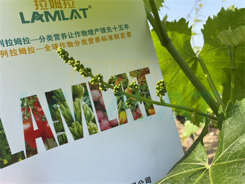 水溶肥，拉姆拉，翠姆