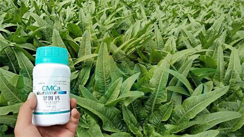 水溶肥，拉姆拉，翠姆