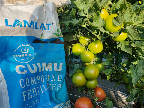 水溶肥，拉姆拉，翠姆