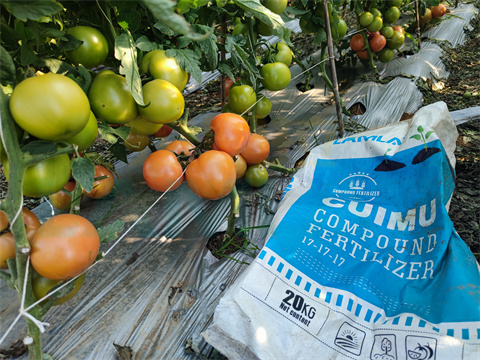 水溶肥，拉姆拉，翠姆