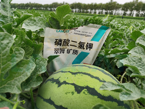 水溶肥，拉姆拉，翠姆