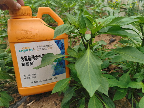 水溶肥，翠姆，拉姆拉