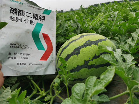 水溶肥，翠姆，拉姆拉