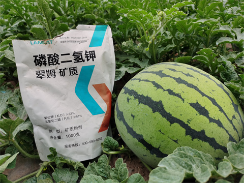 水溶肥，翠姆，拉姆拉