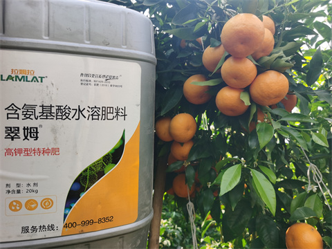 水溶肥廠家,翠姆,拉姆拉水溶肥 水溶肥廠家,翠姆,拉姆拉水溶肥