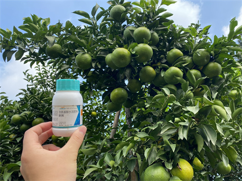 水溶肥,翠姆,柑橘葉面肥 水溶肥,翠姆,柑橘葉面肥