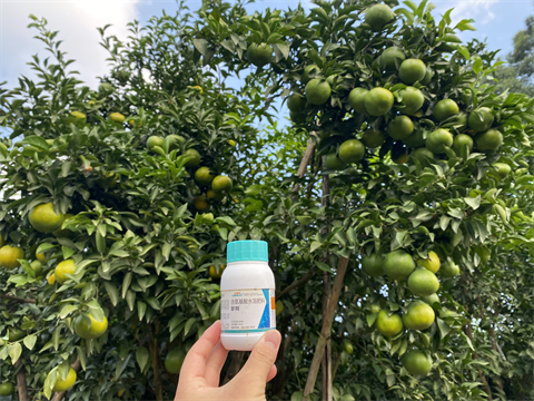 水溶肥,翠姆,柑橘水溶肥 水溶肥,翠姆,柑橘水溶肥