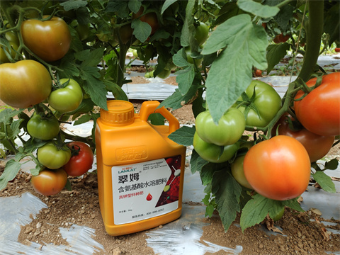 水溶肥,翠姆,蔬菜水溶肥 水溶肥,翠姆,蔬菜水溶肥