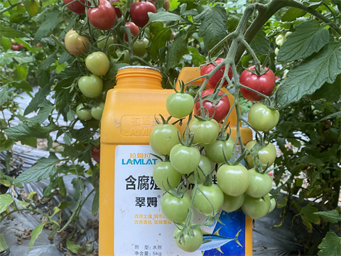 魚蛋白水溶肥,翠姆,拉姆拉 魚蛋白水溶肥,翠姆,拉姆拉