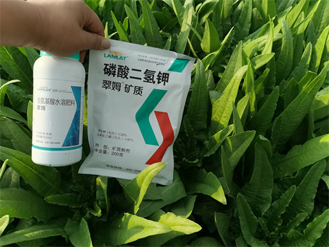 水溶肥品牌,翠姆,拉姆拉 水溶肥品牌,翠姆,拉姆拉