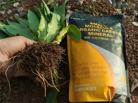 水溶肥品牌,翠姆,拉姆拉 水溶肥品牌,翠姆,拉姆拉