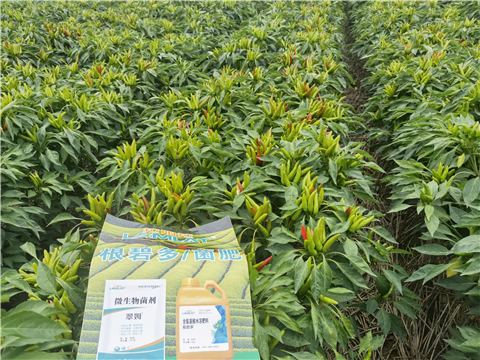 水溶肥廠家,翠姆,辣椒水溶肥 水溶肥廠家,翠姆,辣椒水溶肥