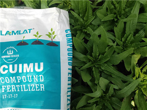 水溶肥,翠姆,油麥菜水溶肥 水溶肥,翠姆,油麥菜水溶肥