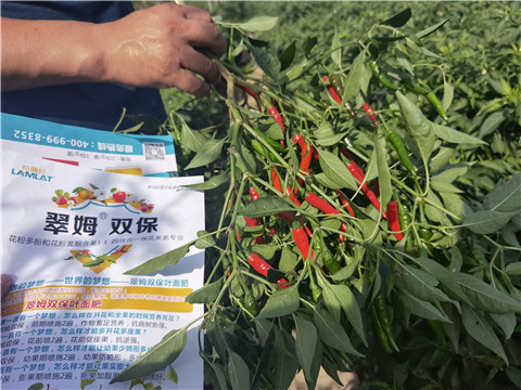 水溶肥,翠姆,拉姆拉 水溶肥,翠姆,拉姆拉