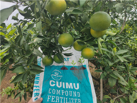 水溶肥,翠姆,柑橘種植 水溶肥,翠姆,柑橘種植