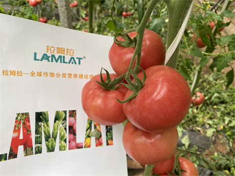 水溶肥,翠姆,拉姆拉 水溶肥,翠姆,拉姆拉