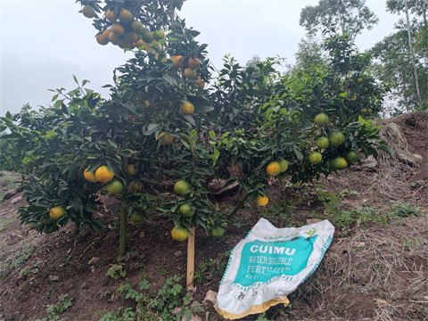 水溶肥,翠姆,愛媛種植管理 水溶肥,翠姆,愛媛種植管理