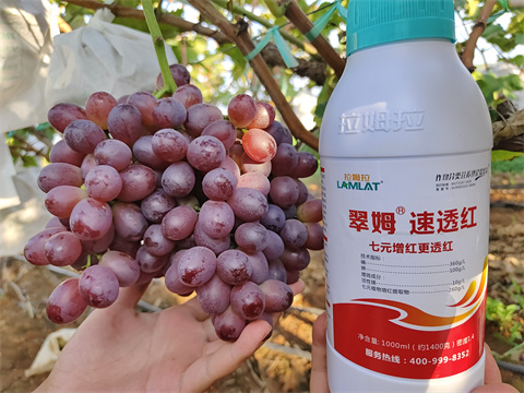 進(jìn)口水溶肥,翠姆,葡萄水溶肥 進(jìn)口水溶肥,翠姆,葡萄水溶肥