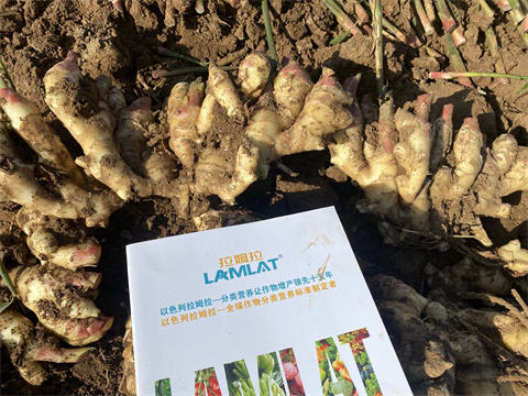 水溶肥廠家,翠姆,拉姆拉 水溶肥廠家,翠姆,拉姆拉