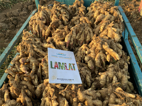 水溶肥廠家,翠姆,拉姆拉 水溶肥廠家,翠姆,拉姆拉