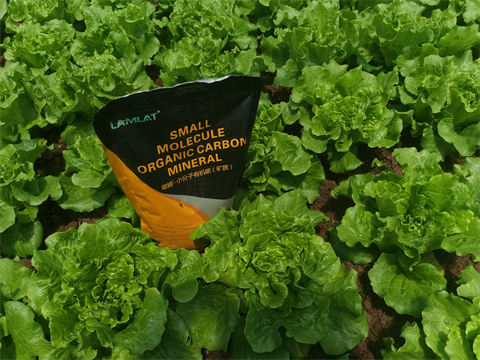 水溶肥,翠姆,生菜水溶肥