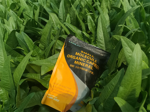 水溶肥,翠姆,蔬菜種植 水溶肥,翠姆,蔬菜種植