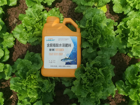 水溶肥,翠姆，蔬菜水溶肥