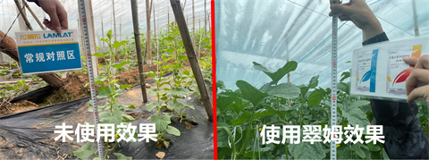 水溶肥,翠姆,拉姆拉 水溶肥,翠姆,拉姆拉