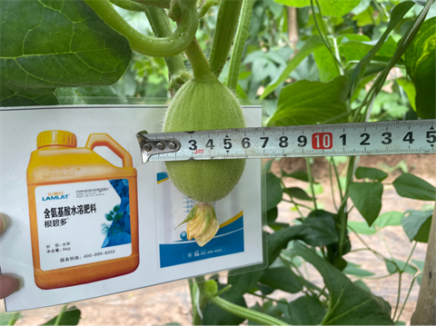 水溶肥,翠姆,拉姆拉 水溶肥,翠姆,拉姆拉