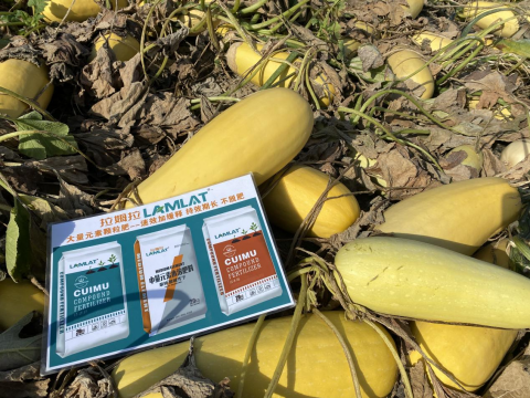 水溶肥,西葫蘆種植,拉姆拉滴灌級(jí)特種肥